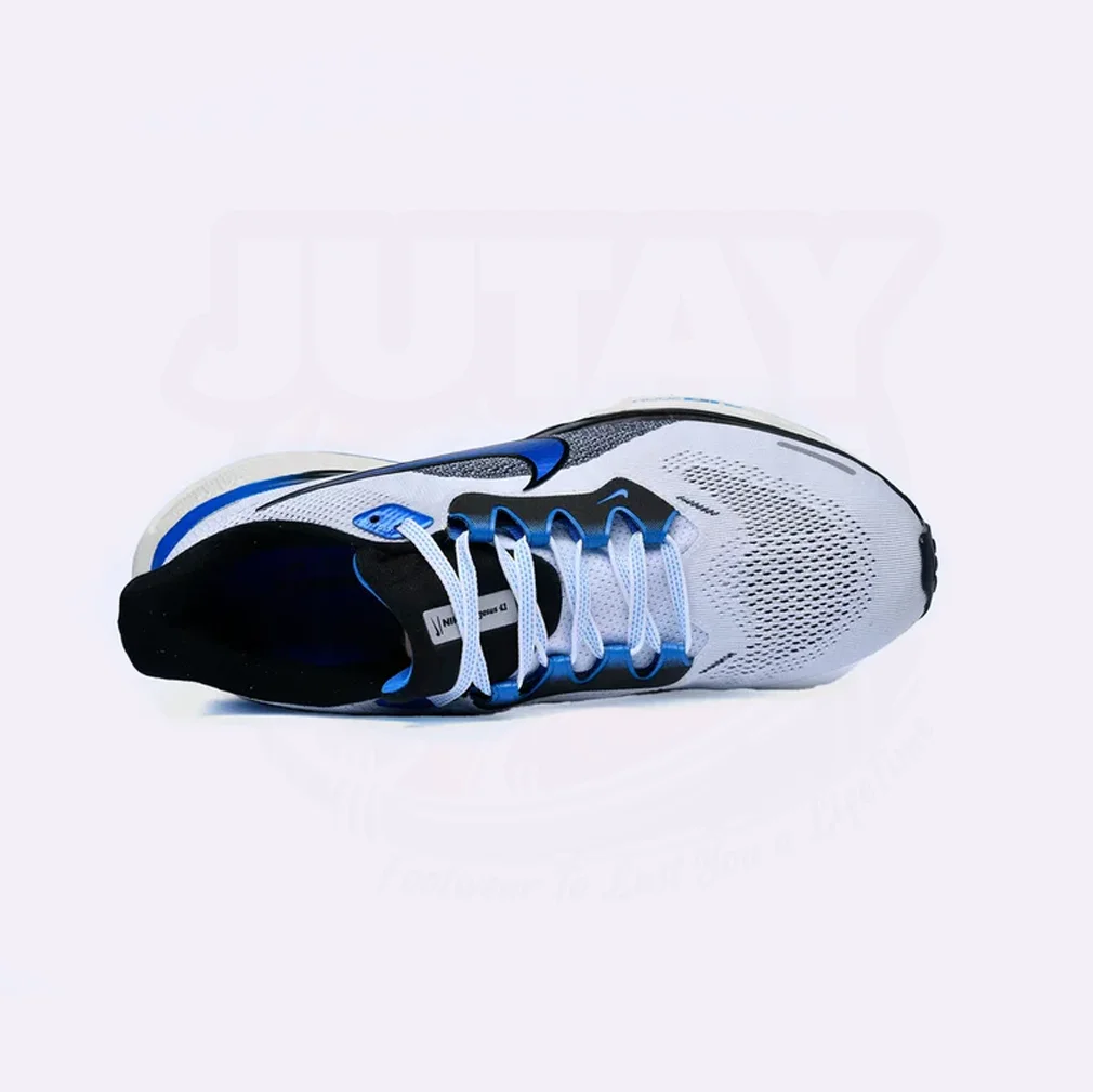 PEGASUS 41 - SAIL BLUE - Image 2